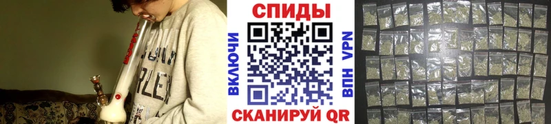 Купить где Георгиевск Бутират бутандиол