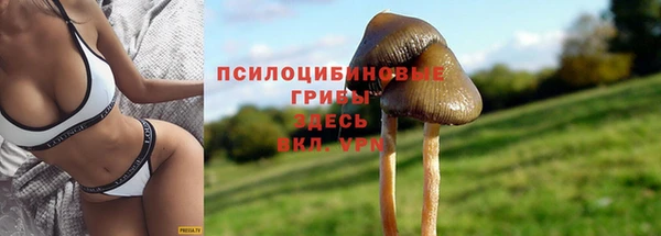спайс Бородино