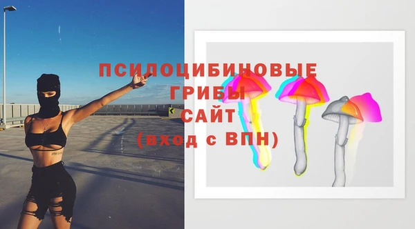 спайс Бородино