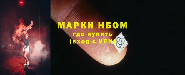 спайс Бородино