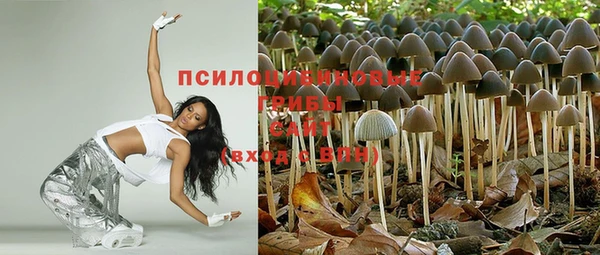спайс Бородино